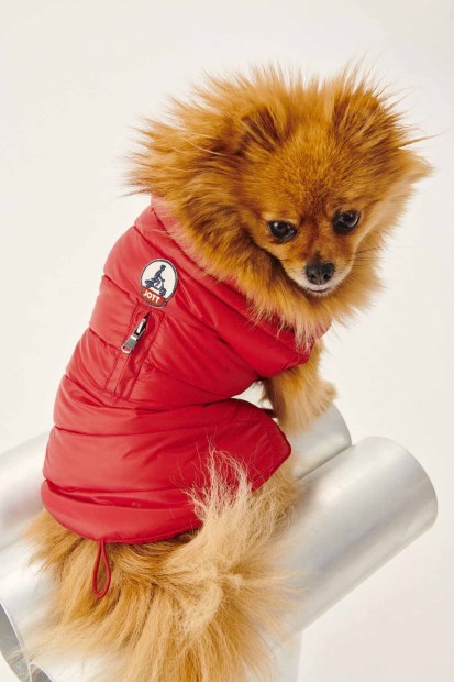 Jott Rouge Perros Abajo Chaqueta Woop