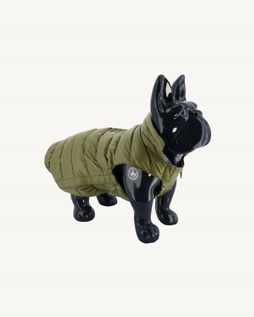 Perros De Monte Abajo Chaqueta Woop Jott